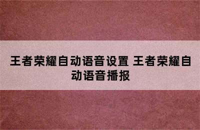 王者荣耀自动语音设置 王者荣耀自动语音播报